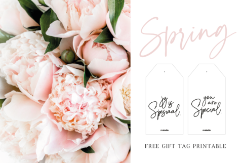 FREE PRINTABLE // SPRING TIME GIFT TAGS ( ENG &amp; AFR ) - M.studio